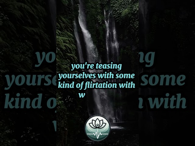 You Are The Universe: Alan Watts