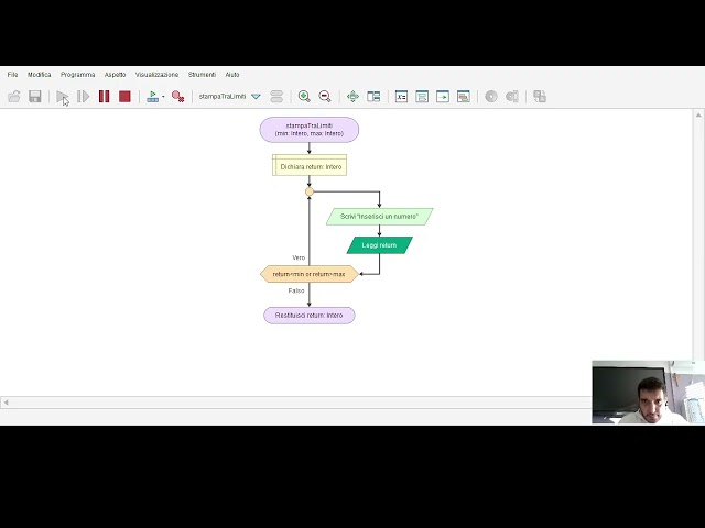 Flowgorithm - Verifica in classe - Funzione su ciclo, funzione controllo lettura e totalizzatore