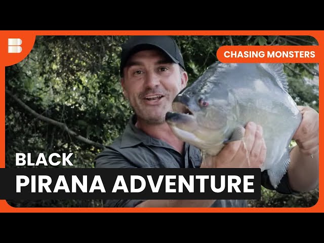 Chasing Black Piranhas - Chasing Monsters - S03 EP04 - Nature & Adventure Documentary