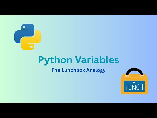 Python Basics #1: Variables for Beginners (Hindi)