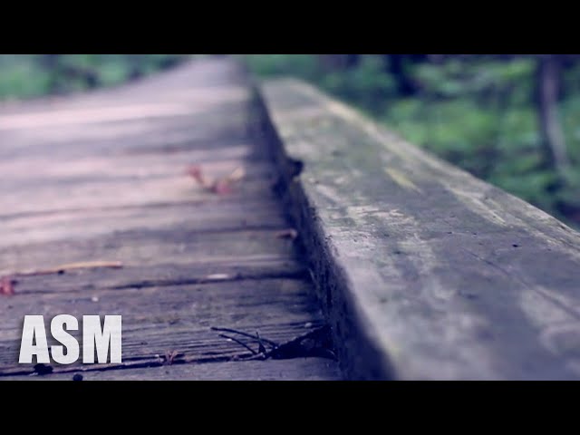Cinematic Documentary - by AShamaluevMusic | Inspirational and Emotional Music For Videos & Films