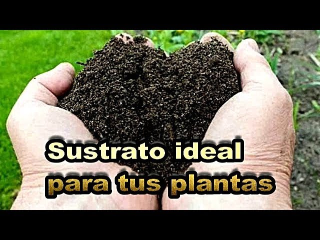 How to prepare a good substrate for plants - How to prepare the soil