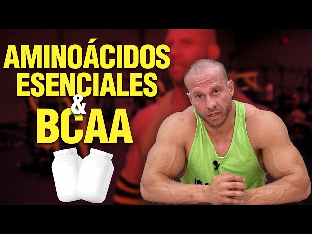 😎 AMINOÁCIDOS ESENCIALES vs BCAA | ¿Qué son y para qué sirven?