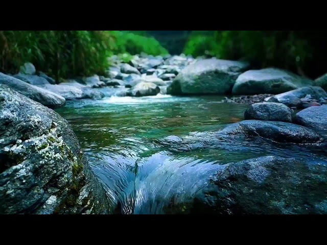 🍃 Soft Flowing River ASMR Sounds for Deep Sleep, Calm Mind & Relaxation