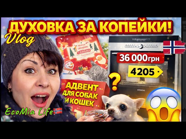 I bought a cool oven for a pittance + Advent for animals/ Nº3-01.26