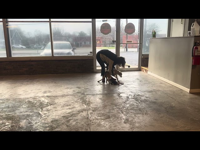 Turtle's Owner Reunion | 15 Day Board & Train