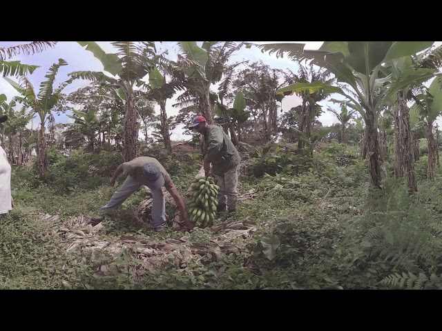 Venezuela: cómo hacer del trueke una alternativa económica