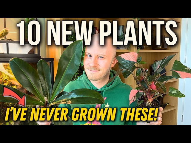 10 New Plants I've Really Enjoyed Growing This Year (2026)
