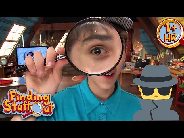 Mystery Detectives | Exploring Forensic Science And Beyond | Full Episodes | Finding Stuff Out