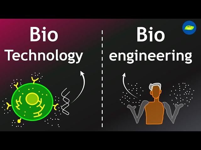 Biotechnology and Bioengineering | Scope | Opportunities | Basic Science Series
