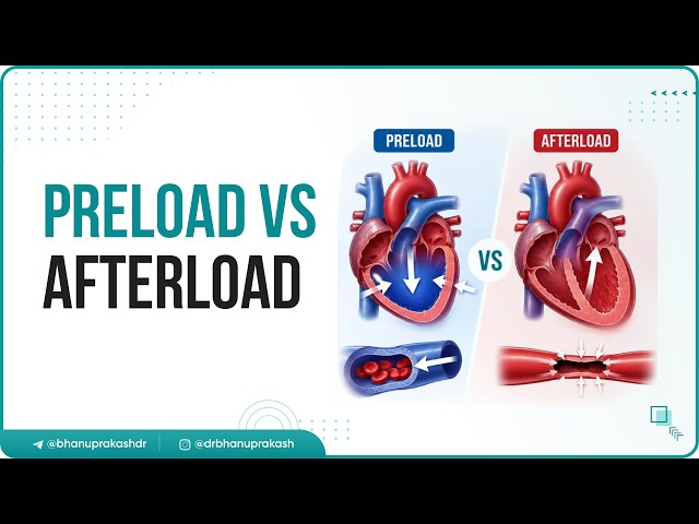 8. Preload vs Afterload | Cardiac Physiology | USMLE Step 1 ⚡📊