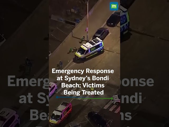 Ambulances seen at Sydney's Bondi Beach area as police responding to incident, with 2 in custody