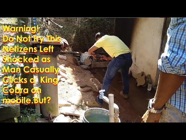 Warning! Do Not Try This.Netizens Left Shocked as Man Casually Clicks a  King Cobra on mobile.But?