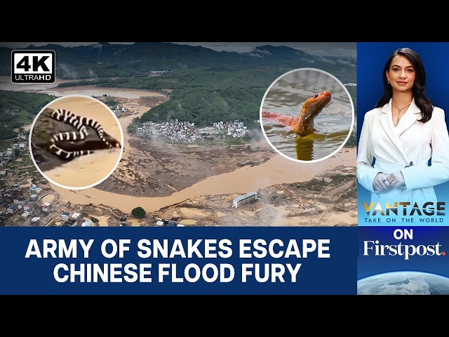Typhoon Maysak Batters China, Lets Loose Swarms of Snakes  | Vantage on Firstpost | 4K
