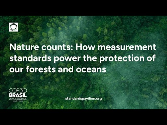 COP30 - Nature counts: How measurement standards power the protection of our forests and oceans