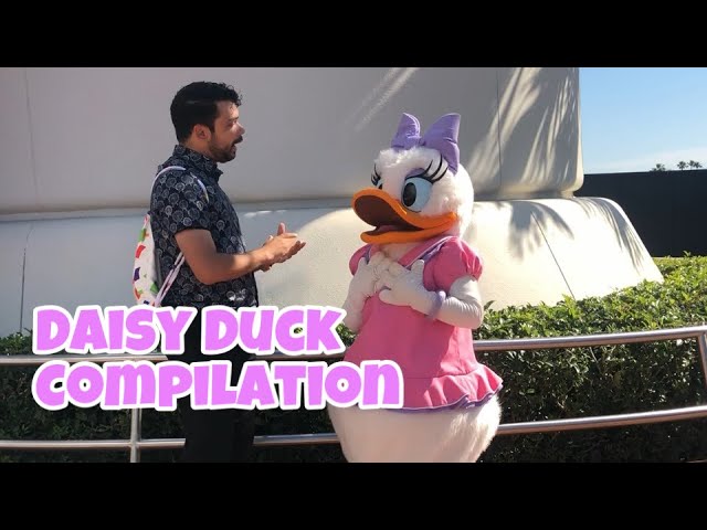 Daisy Duck Meet & Greet Compilation