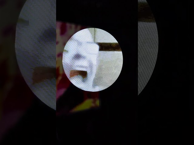 I love my CPU cooler.