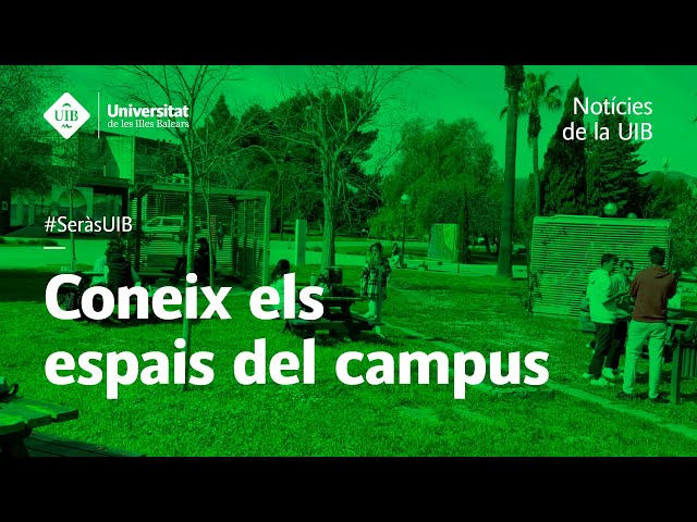 Coneix els espais del campus de la UIB