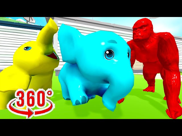 Monkey & Elephant Meme Dance Party VR