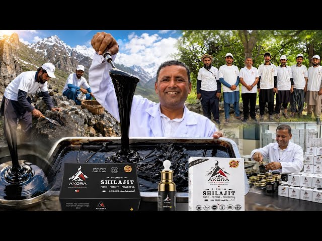 Aftabi Shilajit Full Making Process | Gilgit Baltistan Skardu Ke Barfile Pahado Wali Black Gold