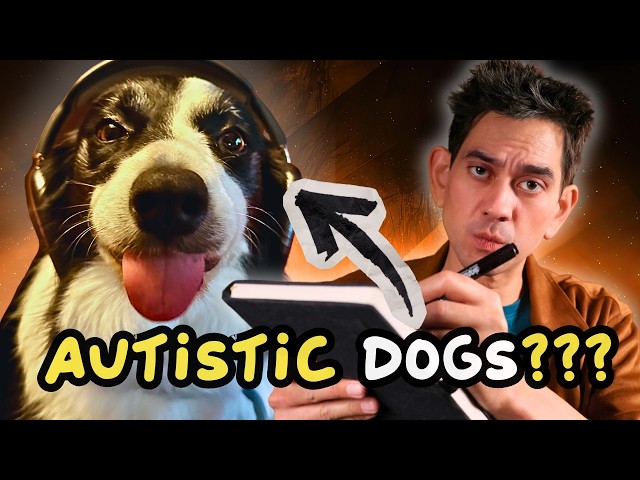 Can Dogs Be Autistic? What You Need To Know