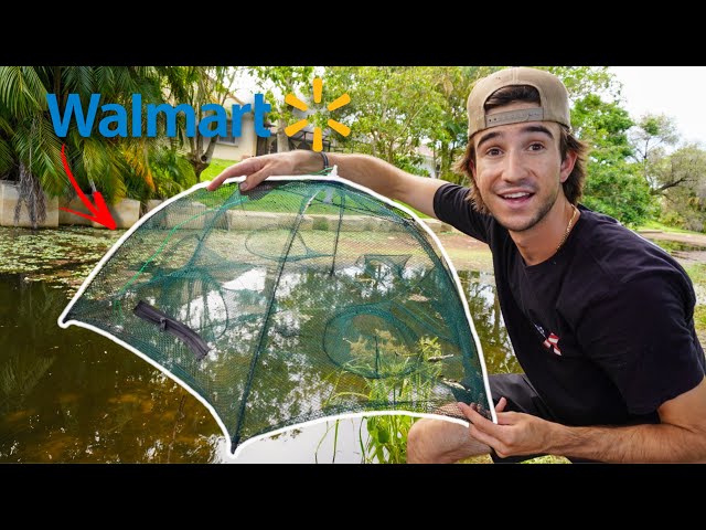 CHEAP Walmart FISH TRAP Catches TONS of FISH!!