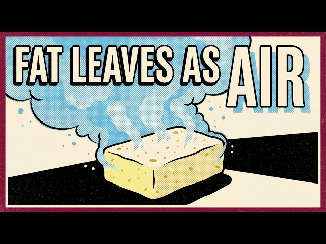 Where Does Fat Go When You Lose Weight?