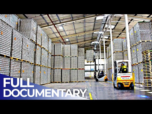 Mega Food Factories: The Secrets of Mass Production | Complete Series | FD Engineering