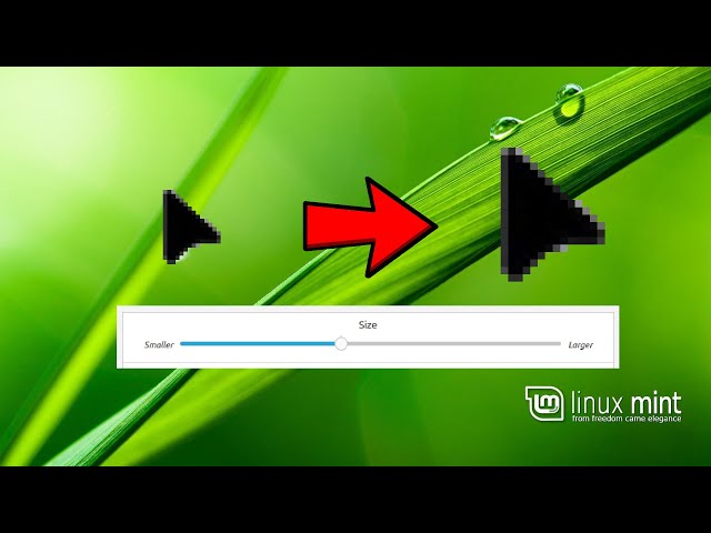 How To Change The Mouse Cursor Size - Linux Mint Cinnamon (2025)