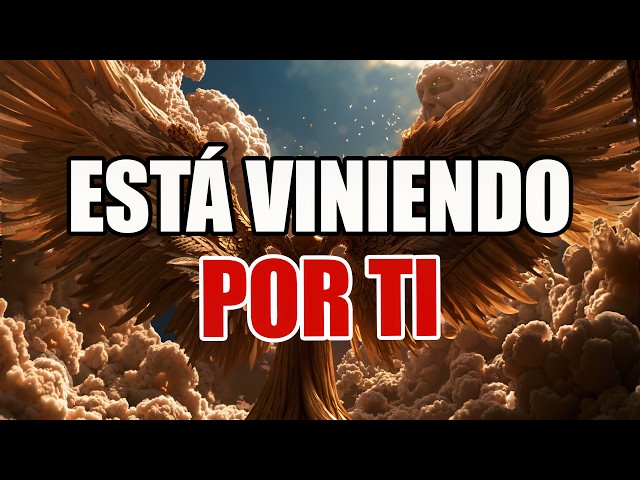 TBNHA1 2 143
