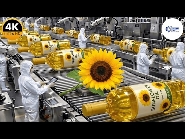 How Sunflower Oil Is Made - Inside the World's LARGEST Factory (Full Process)