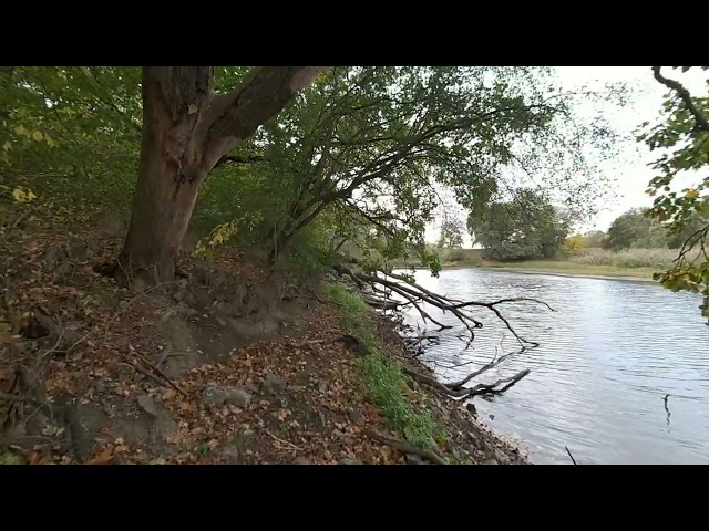 Slam Xcam - stabilizing frame rate