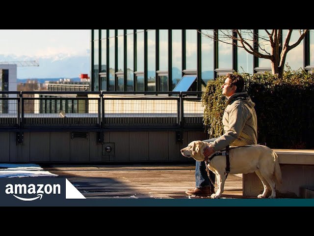 Coding Without Seeing the Screen | Amazon News