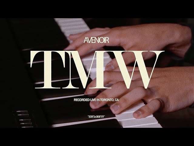 Avenoir - TMW (Acoustic)