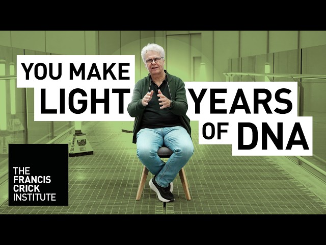 Descifrando la replicación del ADN - John Diffley - Lifeworks
