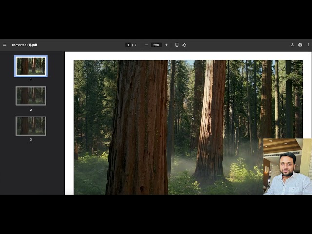 Convert pdf | #javascript #coding #application #frontend #new #html #css #programming #development