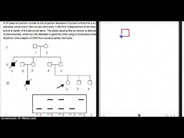 89 FA X LINKED GENETICS QUESTION WITH POLYMORPHISM