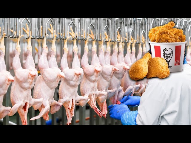 How KFC Fried Chicken Is Mad Inside the Massive Factory Process Behind the World's Crispiest Chicken