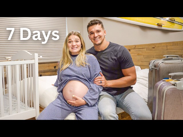 The Second Trimester: A Week in the Life
