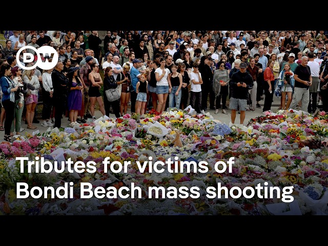 What we know about the Sydney terror attack | DW News