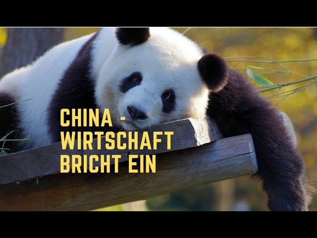 China: Wirtschaft bricht ein! Videoausblick