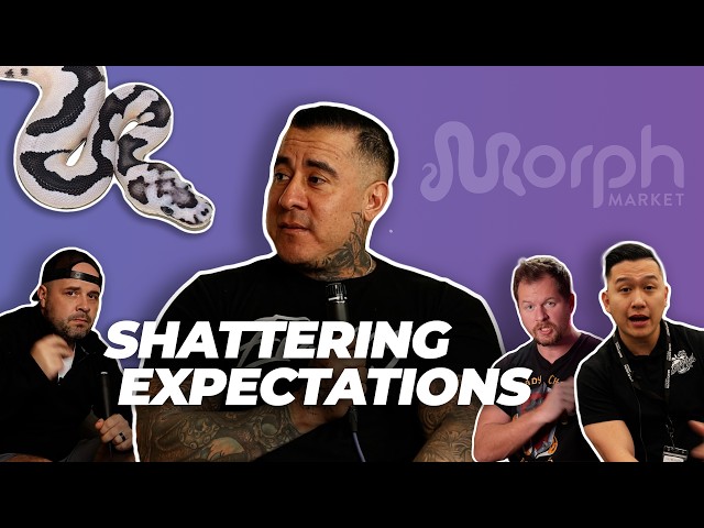 Shattering ALL Expectations in the Reptile Industry Ft. @AlwaysEvolvingPythons #ballpython #snake