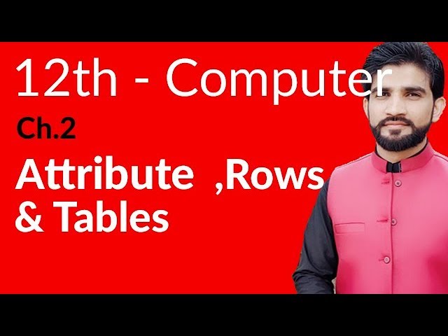 ICS Computer Part 2, Ch 2 - Attribute,Rows & Table - Inter Part 2 Computer