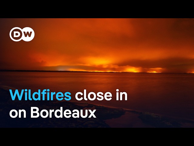 Pressure grows on residents of southern French city to flee wildfires | DW News