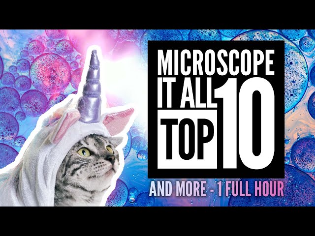 Microscope it All - 1HR Compilation