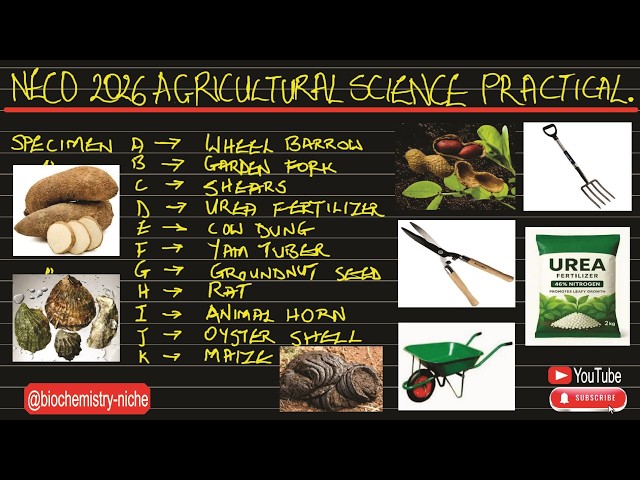 NECO 2026 - AGRICULTURAL SCIENCE PRACTICAL