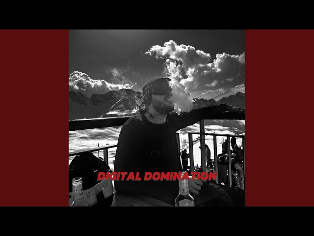 Digital Domination