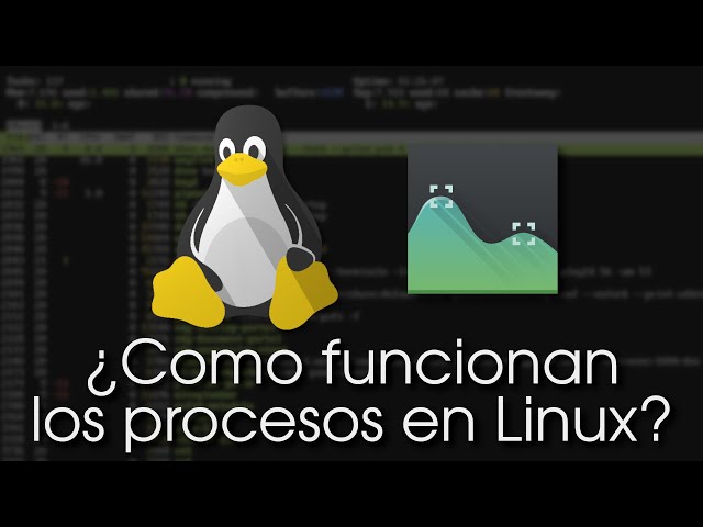 Procesos y señales en Linux / Unix-like explicados