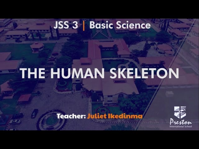 The Human Skeleton - JSS3 Basic Science