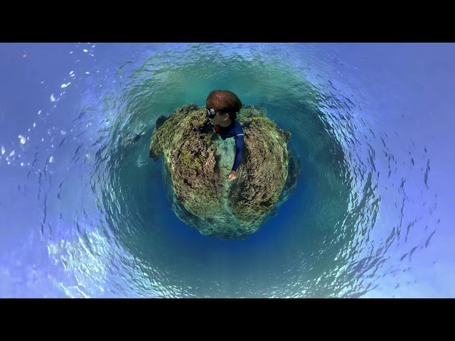 360bubble DEEP - GoPro Fusion/Max, full unobstructed underwater 360